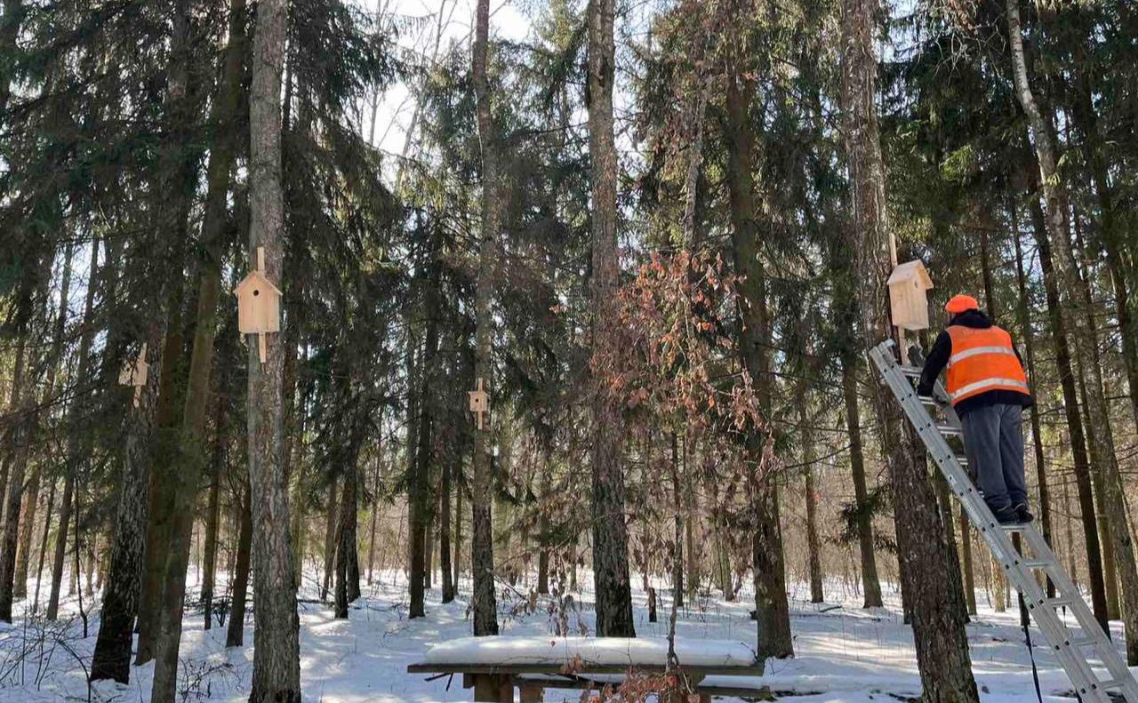 Прзвішування шпаківень. Фото: КО «Київзеленбуд»