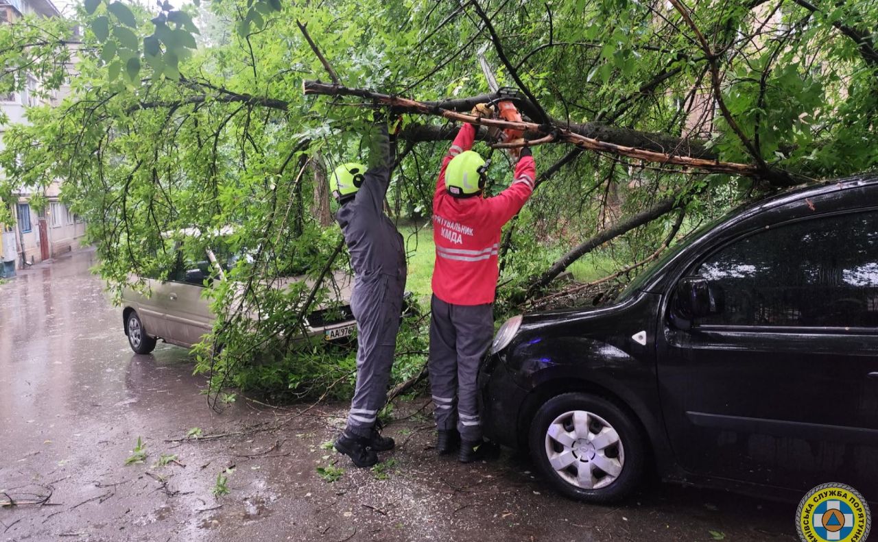 Рятувальники прибирають дерево з автомобілів. Фото: КАРС