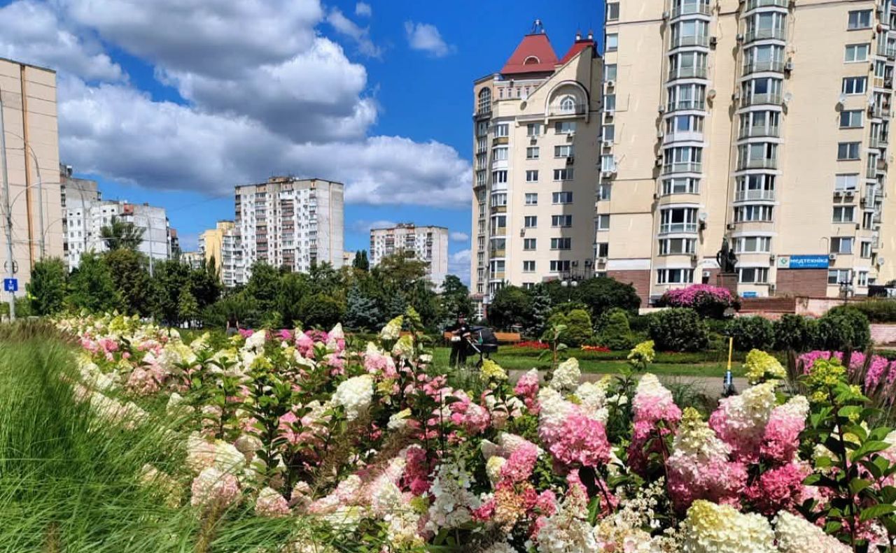 У столиці сезон гортензій. Фото: КО «Київзеленбуд»