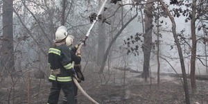 Під Києвом знов горить