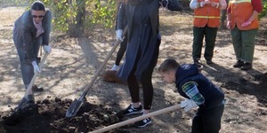 50 київських родин посадили дерева