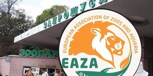 Київський зоопарк стане членом Європейської асоціації зоопарків і акваріумів