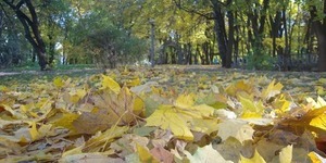 Київрада розгляне питання щодо мораторію на виплату зовнішнього боргу