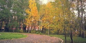 В Оболонському районі відбудуться урочистості