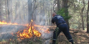 Радіаційний фон у Києві в межах норми