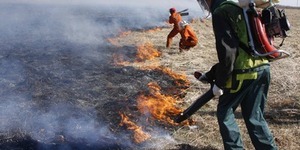 Цими вихідними на Київщині утримається пожежна небезпека [+ карта пожеж торфовищ]