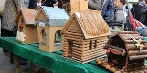 У центральних парках встановлять будиночки для білок