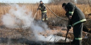 Під Києвом горить понад 120 Га торфовищ