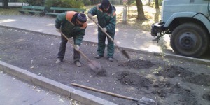 У Києві висаджують дерева з відбійним молотком