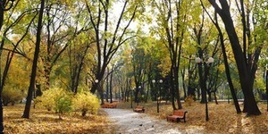 Київзеленбуд запрошує школярів на екскурсії в парки