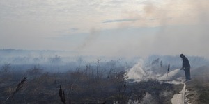 Площа тліючих під Києвом торфовищ становить 107 га