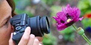 Останній день запису на безкоштовний фотокурс для киян