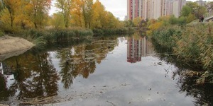 На Позняках почали труїти щурів