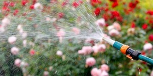 Для поливу квітів облаштують насосні станції