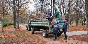 У Києві зібрано 25 тисяч кубометрів опалого листя
