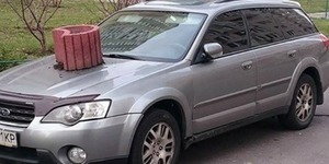 Киянин "покарав" автомобіль квітниками