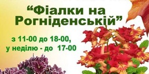 Виставка «Фіалки на Рогнідинській» запрошує на майстер-класи