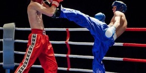 Всеукраїнські ігри єдиноборств відбудуться в Києві