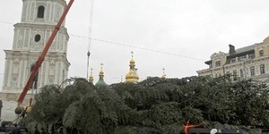 Головна ялинка країни прибула на Софійську площу