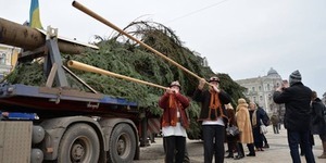 Киянам пояснили, чому на Софійській площі жива ялинка