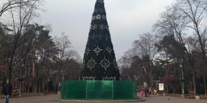 У столиці встановлені перші новорічні ялинки
