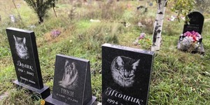 У столиці може з'явитися цвинтар для тварин