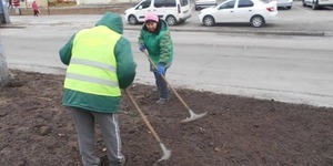 КО «Київзеленбуд» оновило майже півсотні парків та скверів 