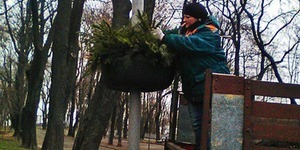 КО «Київзеленбуд» продовжує прикрашати столицю до Нового року
