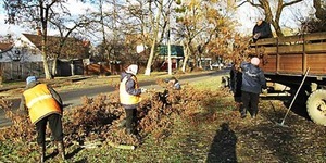  Столичні зеленбудівці відзвітували про виконану у 2015 році роботу