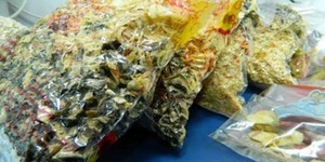 Київська "Кухарська сотня" відправила на передову понад 200 тисяч сухих борщових наборів