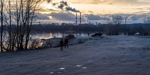 Ділянку, що належить Табачнику і Кобзону, треба повернути киянам, – депутат