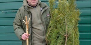Непотрібні ялинки можна здати в зоопарк Межигір'я