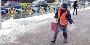 Активісти стверджують, що новий реагент для посипання вулиць, викликає опіки у тварин
