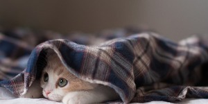 У мерії пояснили, кому перерахують за тепло