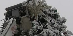 Головну ялинку демонтують протягом тижня