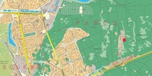 ДПТ Биківні не передбачає вирубку 200 гектарів лісу