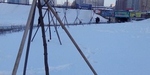 У столичному сквері забудовник знищили клени