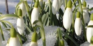Вікенд киянина на 27 та 28 лютого