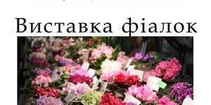 У Києві до 8 березня пройде виставка колекційних фіалок