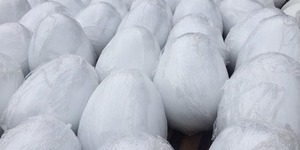На Софійській площі роздаватимуть яйця