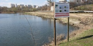 Киян запрошують на толоку на Совські ставки