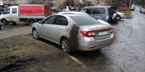Кияни вигадують "кару" для водія, що невдало припаркувався на газоні