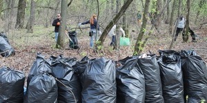 Водоканальці прибрали лісопаркову і пляжну зони у парку Дружби народів
