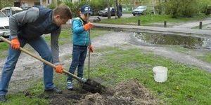 Столичний Tree-challenge зібрав "зелений ланцюг" зі 150 дерев