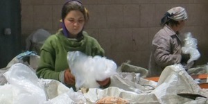 Сміття, здавайся: українців привчають до сортування відходів