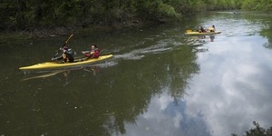 Човни у Києві напрокат: ціни, умови, поради