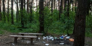 Киян просять прибирати за собою після відпочинку у лісопарках
