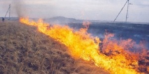 На Київщині близько 76 пожежонебезпечних торф'яних ділянок