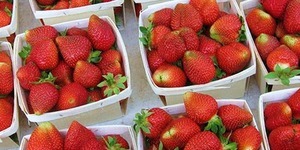Скільки коштуватиме полуниця через два тижні