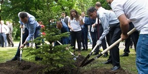 Кличко з послом Ізраїлю висадили Алею Ізраїлю